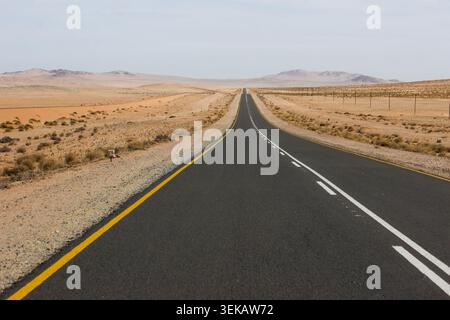 Un'autostrada vuota che si estende attraverso l'arido deserto meridionale del Namib. Foto Stock