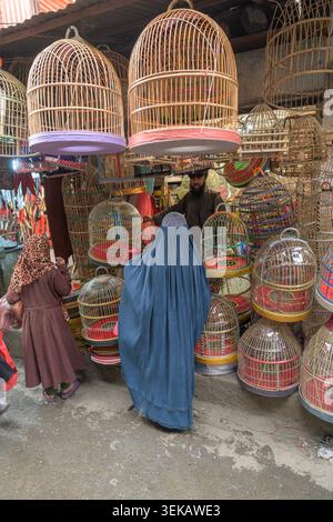 Donne che indossano burka per acquistare gabbie ornamentali per uccelli in un affollato mercato di Kabul. Foto Stock