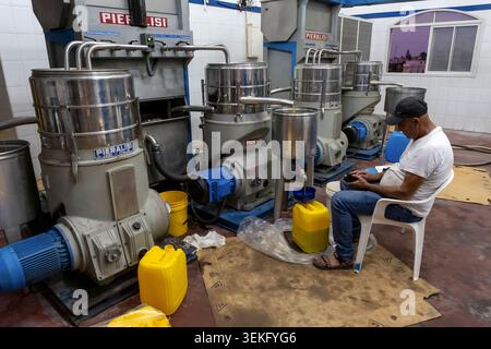Lavoratore che osserva il processo di pressatura in un oleificio d'oliva. Olio vergine fresco che scorre dai moderni macchinari ai contenitori. Simboleggia la tradizione Foto Stock
