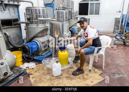 Lavoratore che osserva il processo di pressatura in un oleificio d'oliva. Olio vergine fresco che scorre dai moderni macchinari ai contenitori. Simboleggia la tradizione Foto Stock