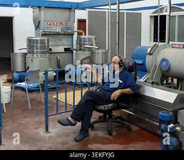 Lavoratore che osserva il processo di pressatura in un oleificio d'oliva. Olio vergine fresco che scorre dai moderni macchinari ai contenitori. Simboleggia la tradizione Foto Stock