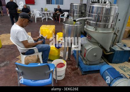Lavoratore che osserva il processo di pressatura in un oleificio d'oliva. Olio vergine fresco che scorre dai moderni macchinari ai contenitori. Simboleggia la tradizione Foto Stock