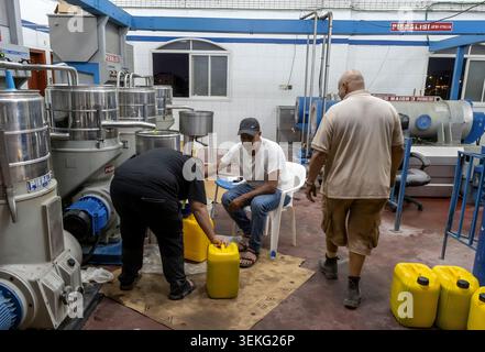 Lavoratore che osserva il processo di pressatura in un oleificio d'oliva. Olio vergine fresco che scorre dai moderni macchinari ai contenitori. Simboleggia la tradizione Foto Stock