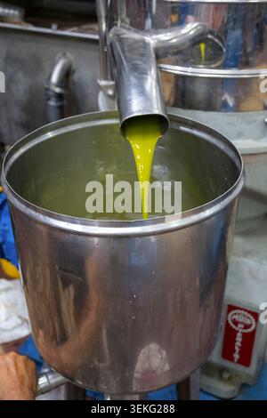 Oro liquido, questo olio d'oliva vergine sta versando da un tubo in acciaio inossidabile in una grande vasca, simboleggiando una sana alimentazione e la tradizione mediterranea Foto Stock