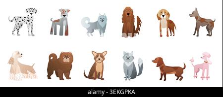 Collezione di simpatiche razze di cani domestici in stile cartoni animati piatti, con macchie, soffici, cani, barboncini, animali domestici da diporto e terrier isolati su sfondo bianco Illustrazione Vettoriale