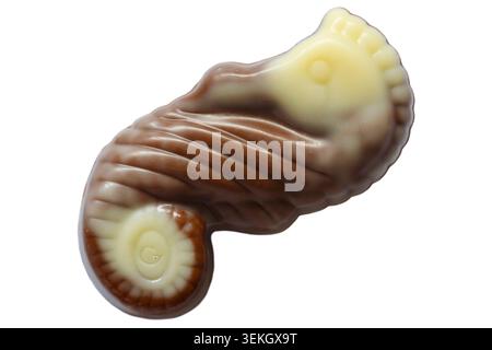 Cioccolato guylian dalla scatola di cioccolatini Guylian Belgian Deluxe assortiti isolati su bianco - cioccolatini belgi di prima qualità al tartufo al latte al cavalluccio marino Foto Stock