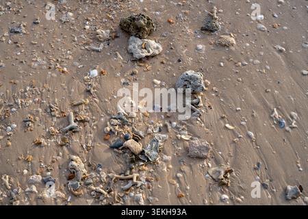 Pezzi di corallo conchiglie e piccole pietre riposano sulla sabbia di spiaggia a motivi geometrici a Klong Muang Krabi Thailandia. Foto Stock