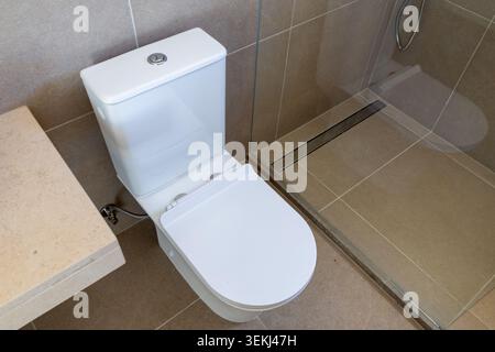 Un bagno pulito e contemporaneo con WC bianco in ceramica adiacente a un'elegante area doccia con box in vetro e scarico lineare Foto Stock
