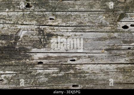 Vecchia trama di platino in legno con fori Foto Stock