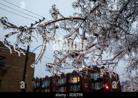 ramo da un albero coperto di ghiaccio dopo una tempesta sotto il cielo nuvoloso di una sera Foto Stock