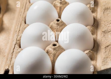 Uova di pollo bianco biologiche in scatola Foto Stock