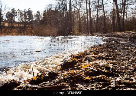 Vista panoramica del lago ondulato nella foresta durante il giorno di sole Foto Stock