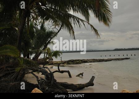 Una tranquilla scena di una spiaggia tropicale mostra palme che ondeggiano vicino all'acqua. La costa rocciosa è visibile, mentre nuvole scure si stagliano sopra la creatina Foto Stock