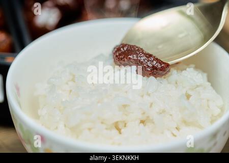 Sono presenti autentico gochujang Sunchang e vari jangajji piccanti. I primi piani mostrano la pasta di peperoncino rosso lucido servita sul riso bianco fumante. Foto Stock