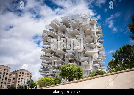L'arbre blanc (White Tree) condominio a Montpellier, Francia Foto Stock