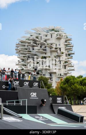 Vista dell'Arbre Blanc (albero bianco) da FISE Montpellier, Francia Foto Stock