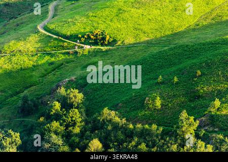 Pomeriggio primaverile sui pendii del Worcestershire Beacon, Malvern Hills. Foto Stock