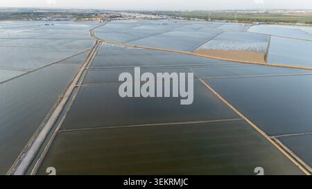 Ampia vista aerea dei campi di riso e dei terreni agricoli allagati, che riflettono il cielo, mostrando la coltivazione e l'agricoltura in Andalusia Foto Stock