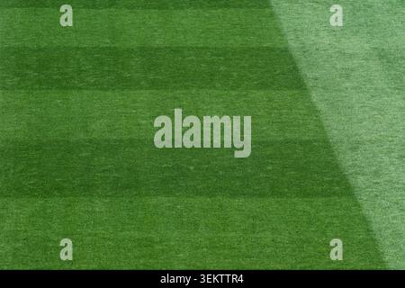 Struttura Premium Stadium Grass con motivo di falciatura professionale sul campo da calcio internazionale Foto Stock