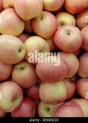 Vista ravvicinata delle mele rosse rossastre fresche impilate insieme, evidenziando la consistenza naturale, la maturazione e i colori vivaci, perfetti per mangiare sano e. Foto Stock