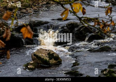 Piccola cascata che si getta su rocce scure in un fiume che scorre veloce, vista attraverso foglie autunnali fuori fuoco Foto Stock