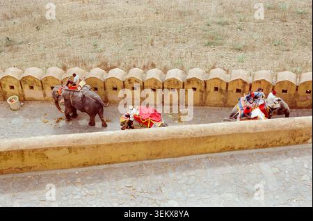 Elefanti al forte Amer (noto anche come forte Amber) che si affaccia sul lago Maota a Jaipur, Rajasthan. Foto Stock