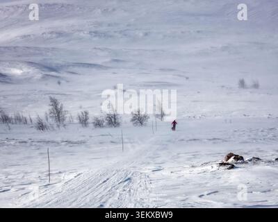Enontekiö, Finlandia - 07.04.2021: Viaggiatore solitario in attrezzatura rossa, trekking attraverso una bufera di neve attraverso la vasta natura ghiacciata dell'Artico Foto Stock