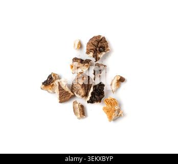 Funghi Shiitake asciutti e sbriciolati isolati, pezzi di shitake crudi, sane briciole di funghi asiatici biologici, funghi Shiitake commestibili cinesi comuni su bianco Bac Foto Stock