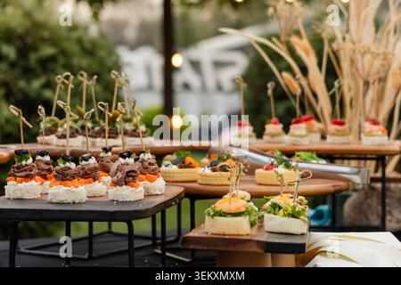 Ampia scelta di stuzzichini e tartine su un tavolo a buffet all'aperto Foto Stock