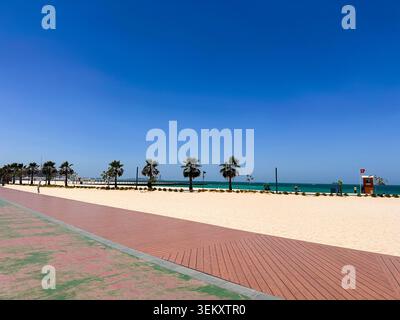 Una tranquilla scena costiera caratterizzata da una linea di alte palme lungo una spiaggia sabbiosa, con l'oceano calmo e il cielo azzurro cristallino sullo sfondo. Foto Stock