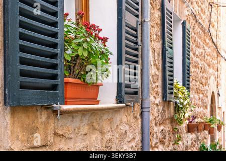 Bellissimi fiori sul davanzale di una casa Foto Stock