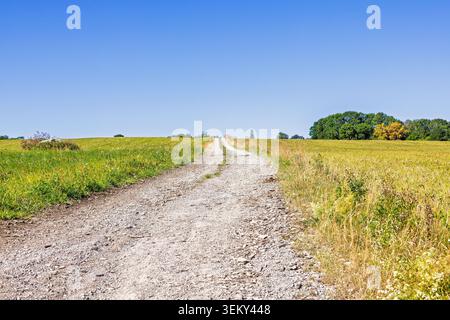 Svuotare la strada sterrata verso una collina in un cielo blu chiaro Foto Stock