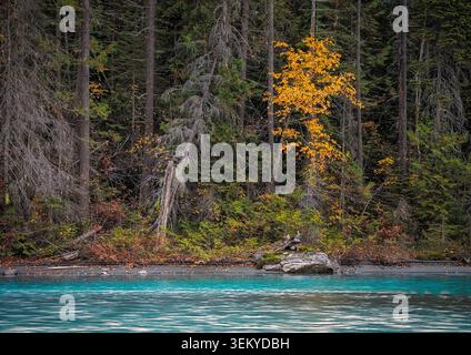 Lago alpino dai vivaci colori autunnali che si riflettono sulle limpide acque turchesi e sulla costa forestale Foto Stock