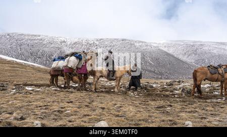 I nomadi kazaki con cammelli e cavalli battriani si riposano su un pendio innevato durante la migrazione stagionale nell'Altai mongolo Foto Stock