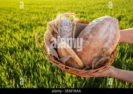 Assortimento di pane artigianale fresco nel cestino di vimini sul campo di grano verde Foto Stock