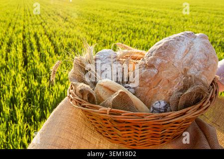 Assortimento di pane artigianale fresco nel cestino di vimini sul campo di grano verde Foto Stock