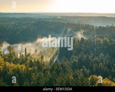 Vista aerea dei raggi del sole e della nebbia mattutina sul paesaggio forestale del Parco Nazionale di Gauja, Lettonia Foto Stock