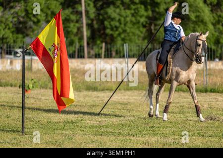 Equitazione lavorativa tradizionale in Spagna con donna e cavallo che usano Garrocha Foto Stock