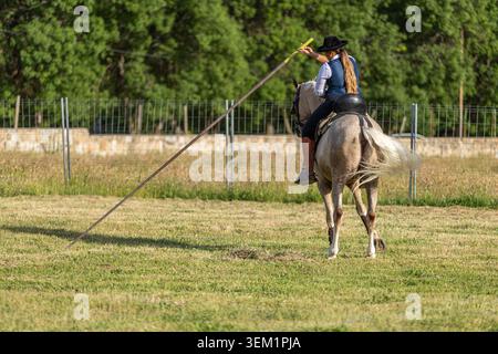 Donna equitazione e addestramento del cavallo nella pratica tradizionale spagnola Garrocha Foto Stock