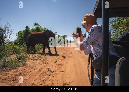 Safari turistico fotografa gli elefanti sulla pista sabbiosa del Chobe Park Foto Stock
