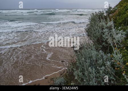 Piante e coste ripide dominano la vista del mare selvaggio. Lo spruzzo delle onde precipitanti colpisce la spiaggia quando il cielo è coperto, Mawgan Porth, Cornwal Foto Stock