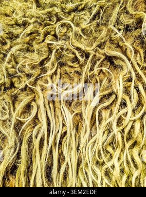 Primo piano con pellicce di animali aggrovigliate e densa che creano una texture fibrosa dettagliata Foto Stock
