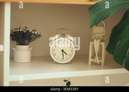 Orologio e piante su uno scaffale in una stanza Foto Stock
