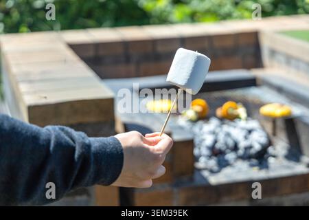 Una mano regge un marshmallow bianco su uno spiedino di legno sopra una fossa in mattoni di carbone in un campeggio a Oarai, Ibaraki, con mais e verdure grigliate sulla griglia sullo sfondo verde morbido. Foto Stock