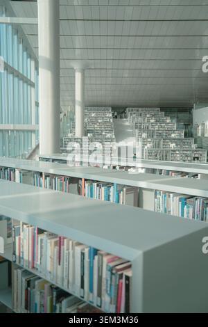 Moderno interno biblioteca con file di scaffali, colonne alte e luce naturale luminosa in una spaziosa area di lettura Foto Stock