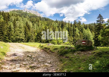 Segnalatore austriaco del sentiero escursionistico dipinto sulla roccia nel paesaggio alpino Foto Stock