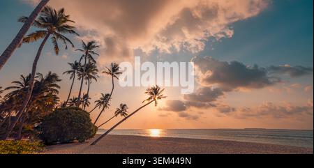 Tramonto drammatico spiaggia tropicale palme inclinate nuvole luminose mare calmo. Paesaggio di viaggio sera estiva. Resort di fuga luna di miele scenografico Foto Stock