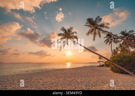Sole dorato che tramonta su una spiaggia tropicale con palme, nuvole drammaticamente luminose sopra il mare calmo, panorama di paesaggio insulare caldo e scenografico. Viaggi Foto Stock