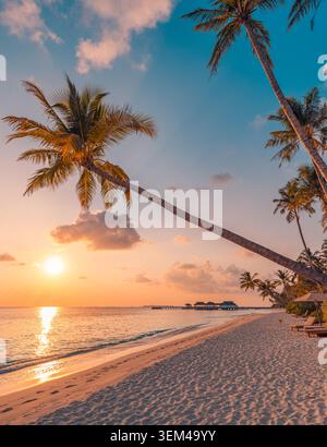 Palme su vista verticale del mare al tramonto, sole che brilla all'orizzonte tra tronchi inclini, serata tropicale dorata sulla spiaggia insulare scenografica. Arte da parete per telefono Foto Stock