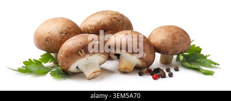 Funghi champignon bruni freschi con grani di pepe e prezzemolo isolati su bianco Foto Stock